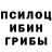Псилоцибиновые грибы мицелий VERTOUR