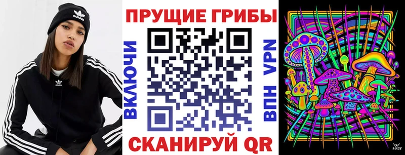 Галлюциногенные грибы GOLDEN TEACHER  как найти закладки  Арзамас 